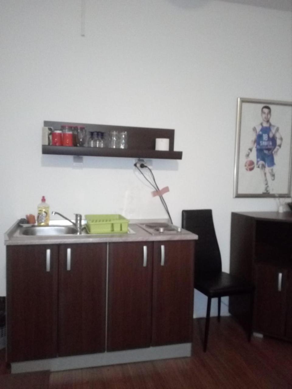 Apartment Viktor Stan Na Dan Šabac Exterior foto